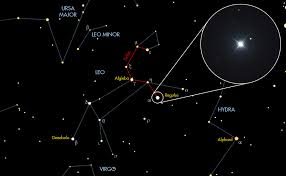 Attēlu rezultāti vaicājumam “Regulus regulus”