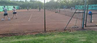 Image result for Ellesmere Croquet Club