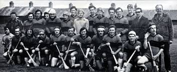 Image result for Patrick Sarsfield Gaelic Athletic Club