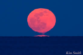 Attēlu rezultāti vaicājumam “Etruscan Vase Omega Sun”