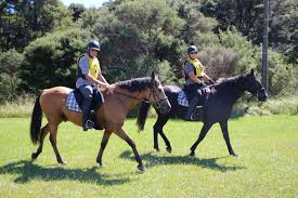 Image result for Woodhill Riding Club