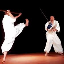 Image result for Ellis Schools of Traditional Aikido
