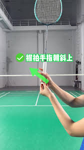 Image result for Appleton Ga Badminton Club