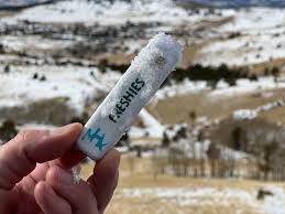 Image result for freshies