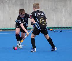 Image result for Swansea Bay Hockey Club