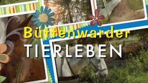 Attēlu rezultāti vaicājumam “Leporida”