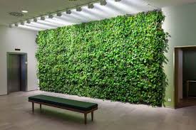 Image result for living wall