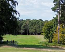Image result for Brokenhurst Manor Golf Club