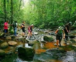 Image result for синхараджа