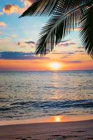 Image result for sunset