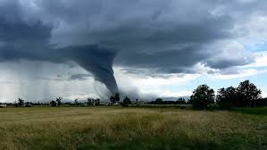 Image result for Leicester City Tornadoes