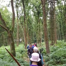 Image result for Long Eaton Field Archery Club