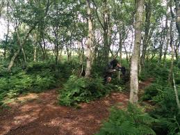 Image result for Combat Paintball, Lathom