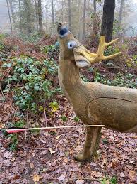 Image result for Row Brow Field Archery