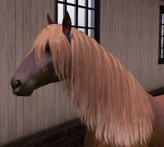 Image result for chestnut friesian