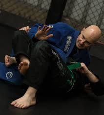 Image result for Derwent Jujitsu Academies