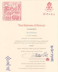 Image result for Ronin Yudansha Ryu