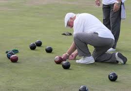 Image result for Victoria Park Bowling Club (Bridgwater)