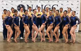 Image result for Custom Gymnastics Club