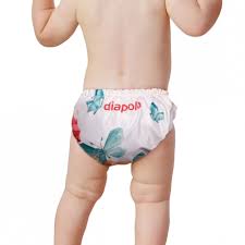 Attēlu rezultāti vaicājumam “Diaperis boleti imago”