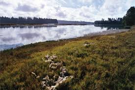 Image result for Slough