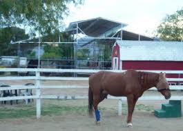 Image result for Kings Ranch Riding School/Club