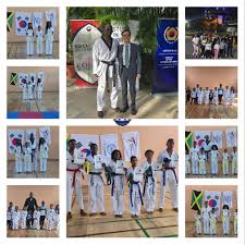 Image result for Absolute tae kwon do association