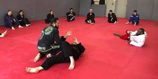 Image result for Derwent Jujitsu Academies