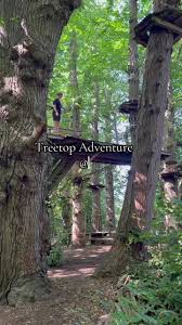 Image result for Go Ape! Leeds Castle