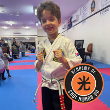Image result for southern academy choi kwang do