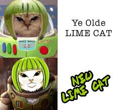 Image result for limecat