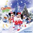 Disney Magical Days ﾃﾞｨｽﾞﾆｰｸﾘｽﾏｽ