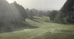 Image result for Dorking Golf Club