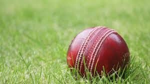 Image result for Epsom Junior Cricket Club