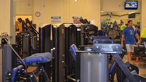 Image result for Angmering School Of Gym