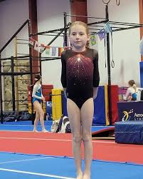 Image result for Aero Gymnastics Club