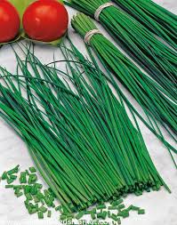 Attēlu rezultāti vaicājumam “Allium schoenoprasum fruit”