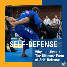 Image result for Unity School Of Jiu Jitsu