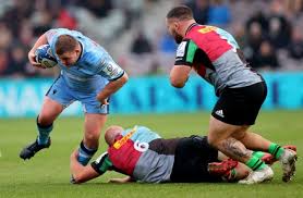 Image result for Cardiff Harlequins