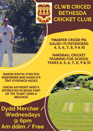 Image result for Clwb Criced A Bowlio Bethesda