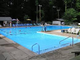 Image result for Enderby Swimming Club