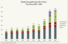 Image result for 精神疾患HOMELESS