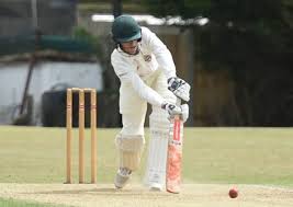 Image result for Bexhill Cricket Club