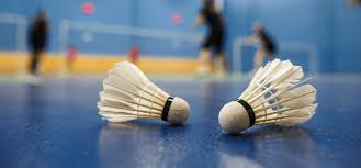 Image result for East Dean & Friston Badminton Club