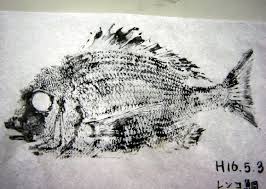 「魚拓」的圖片搜尋結果