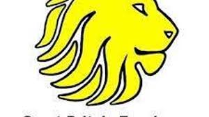 Image result for Coventry Dragons