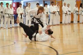 Image result for Tkd Self Defense