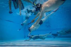 Image result for Dublin Underwater Hockey Team