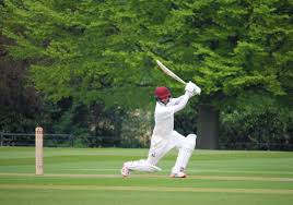 Image result for Winton Cricket Club