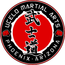 Image result for Phoenix Martial Arts